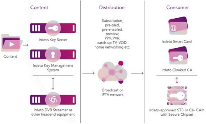 Unveiling the World of HD Hub: Your Ultimate Destination for High-Definition Content