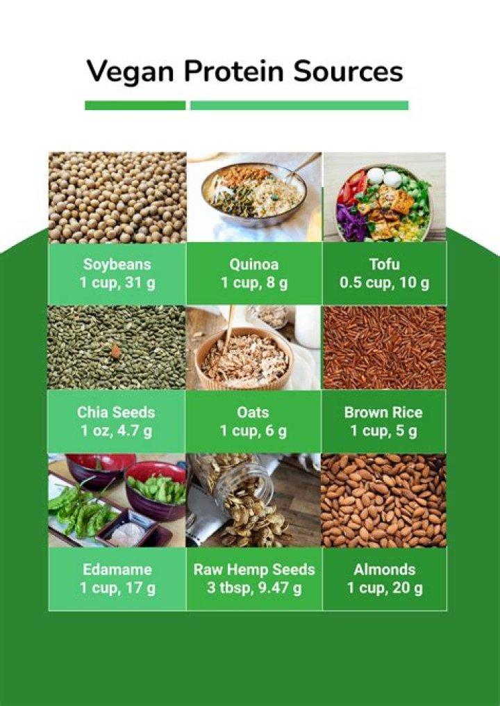 Vegamoies: The Ultimate Guide to This Revolutionary Plant-Based Protein