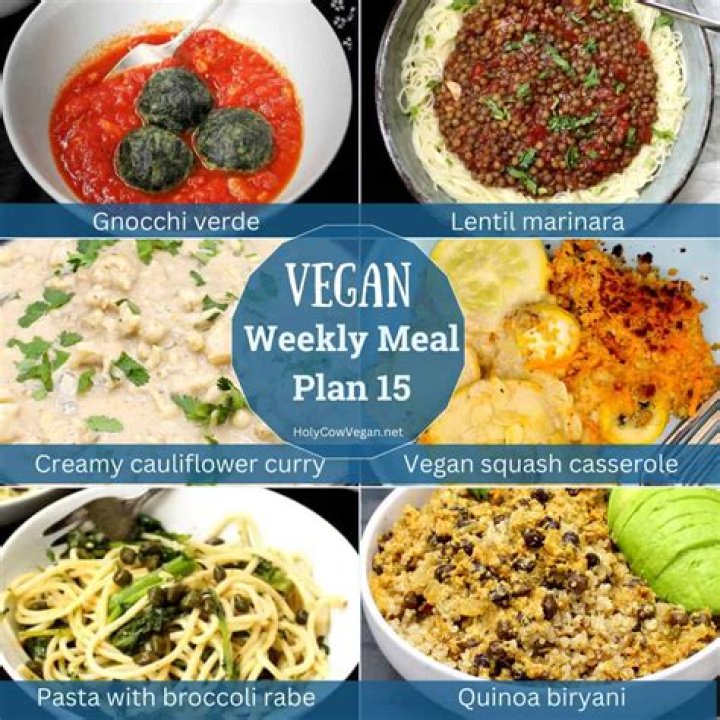 Vegamoveis: The Ultimate Guide to Vegan-Friendly Moving Services