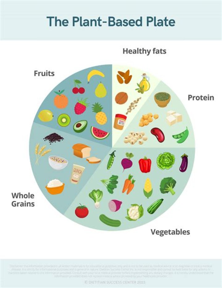 VegoVies: The Ultimate Guide to Plant-Based Eating