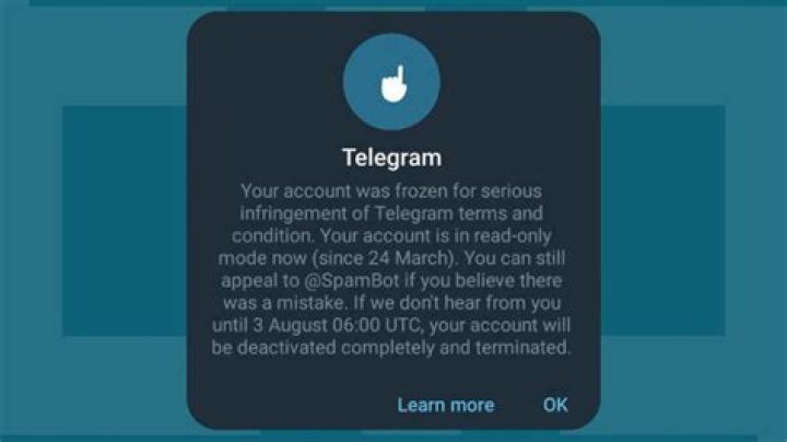 Wasmo VIP Telegram: Your Ultimate Guide to Unlocking Exclusive Content