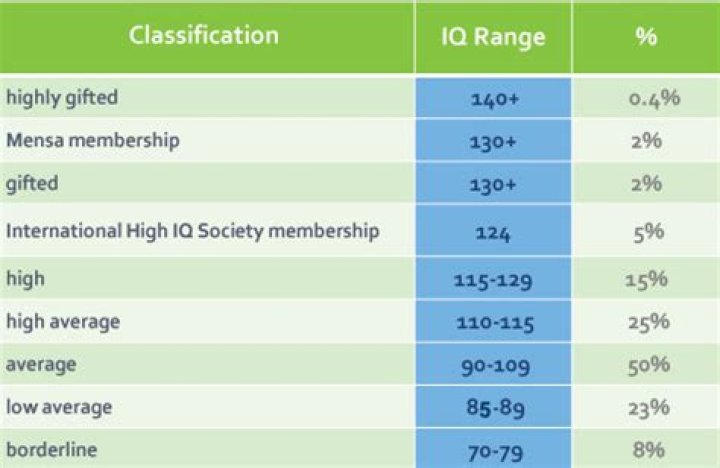 What Does Mensa Mean? Understanding the Elite Society of High IQ Individuals