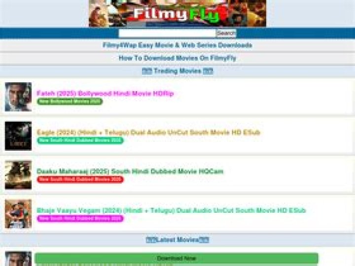 Why filmyfly .com 2024 is Still a Big Deal in the Streaming World