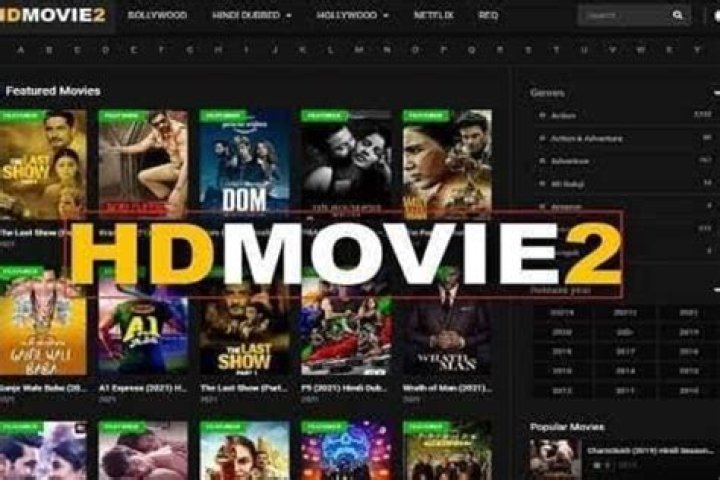 Why Hdmovies2.in is Your Ultimate Movie Streaming Haven
