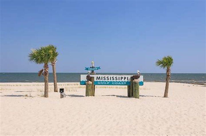 WLOX News Gulfport: Your Go-To Source for Local News and Updates