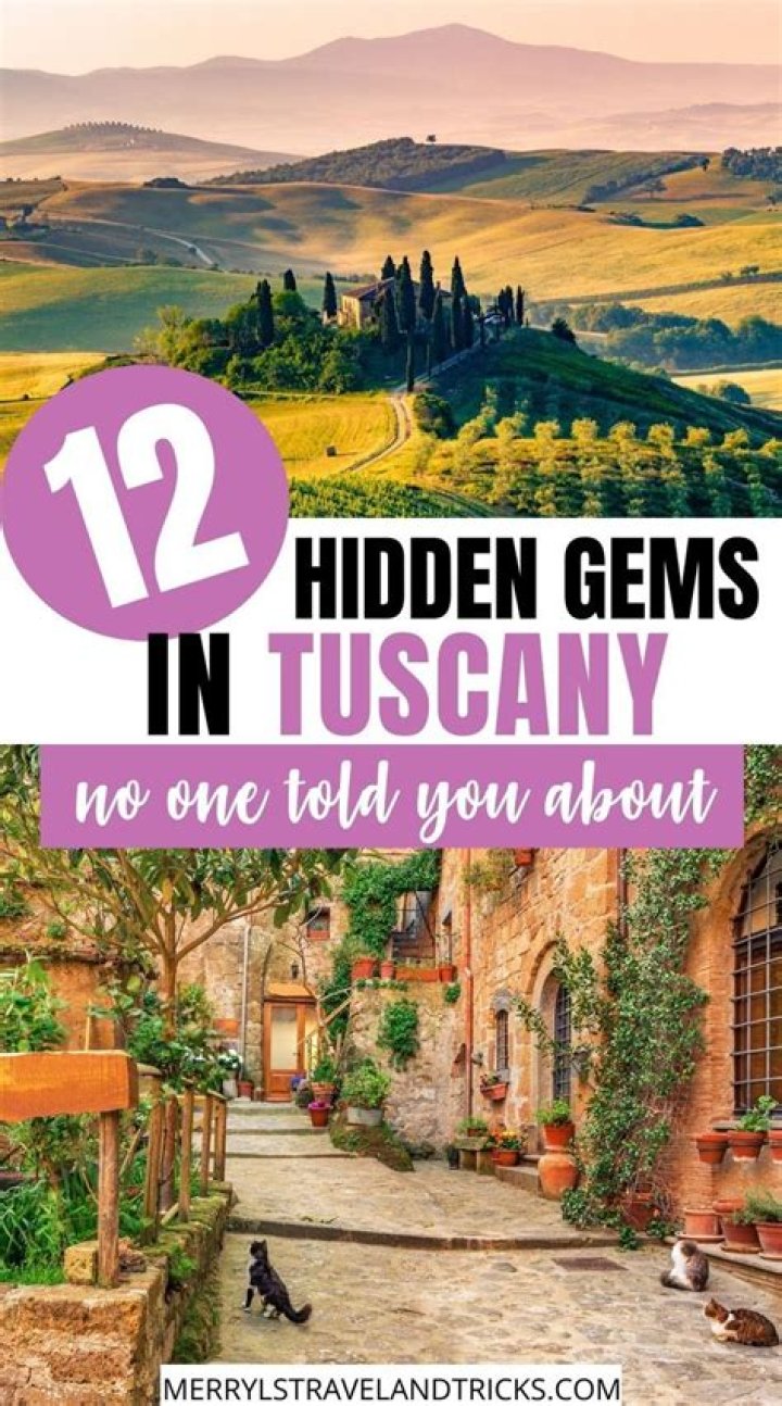 www aagmaal: Your Ultimate Guide to Unlocking the Hidden Gems of Travel