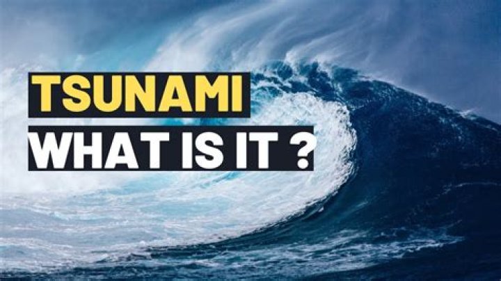 Your Tami Tsunami Leak: The Untold Story You Need to Know